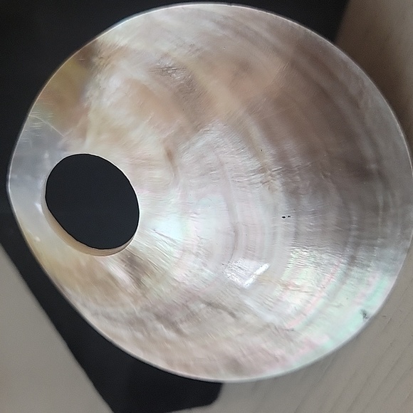 Abalone Shell - Picture 2 of 7